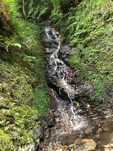 滝　LINE_ALBUM_20240908裏愛宕ルート攻略_240912_1