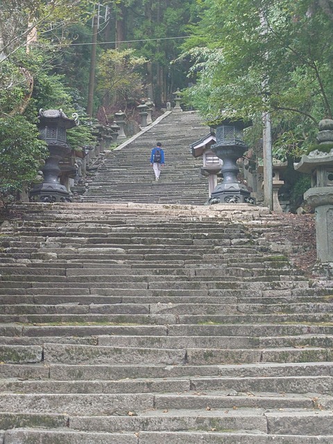 LINE_ALBUM_20240908裏愛宕ルート攻略_240912_3 (2)