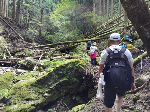 LINE_ALBUM_20240908裏愛宕ルート攻略_240911_3 (2)