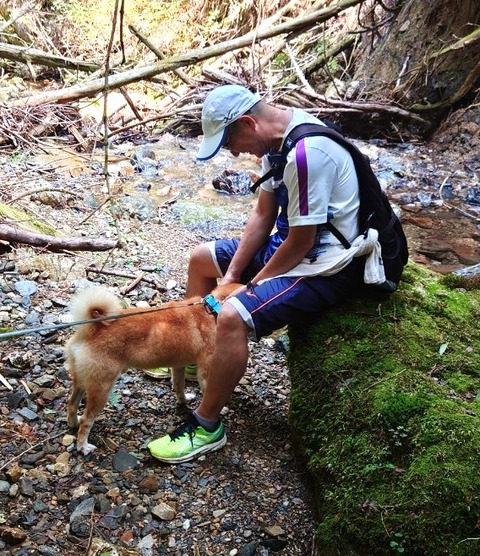 LINE_ALBUM_20240908裏愛宕ルート攻略_240912_2