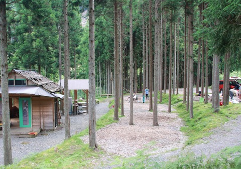 ウッドチップIMG_8300