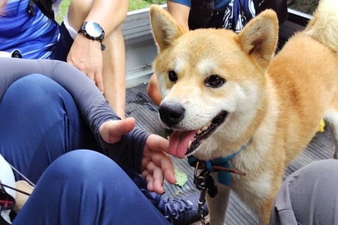 ぽんちゃん　LINE_ALBUM_20240908裏愛宕ルート攻略_240911_2 (3)