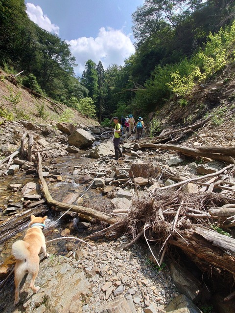 LINE_ALBUM_20240908裏愛宕ルート攻略_240911_1