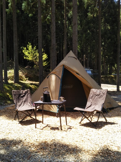 20㎡ウッドチップサイト