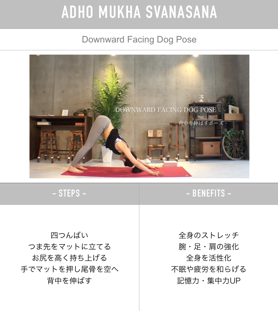 Pose 正しく行いたい効果満載の万能ポーズ 下を向いた犬のポーズ みーんなyogaを好きになる Mika S ヨガブログ Pose 正しく行いたい効果満載の万能ポーズ 下を向いた犬のポーズ みーんなyogaを好きになる Mika S ヨガブログ