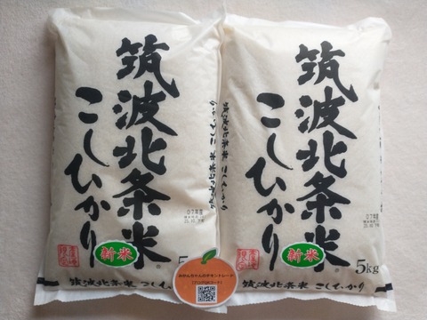 IMG_20251031_114200151