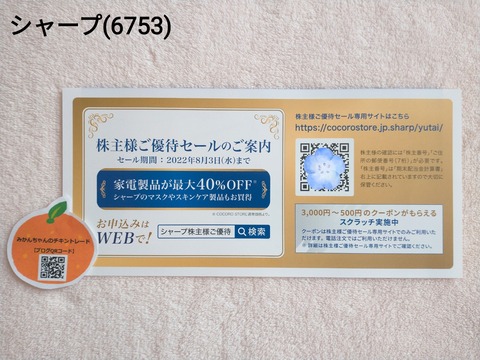 22-06-11-06-04-03-300_deco