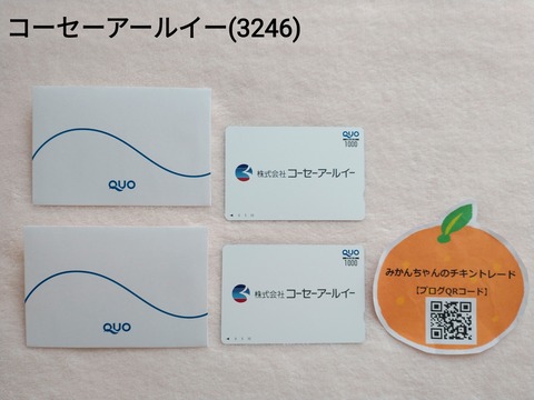 22-05-03-10-11-34-556_deco