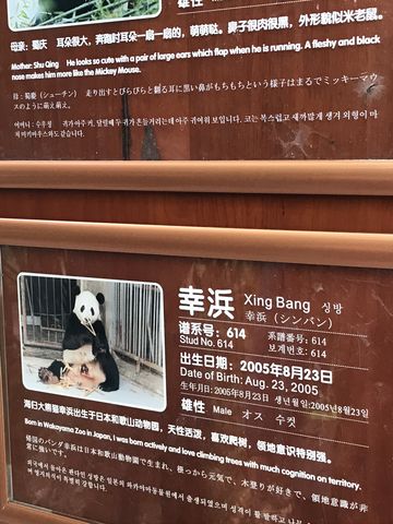 やさぐれ女2人旅 De パンダまみれ Vol 12 女の爆想日記 やさぐれ女2人旅 De パンダまみれ Vol 12 女の爆想日記