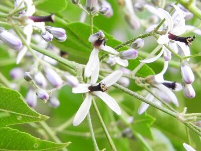 DSCN9543