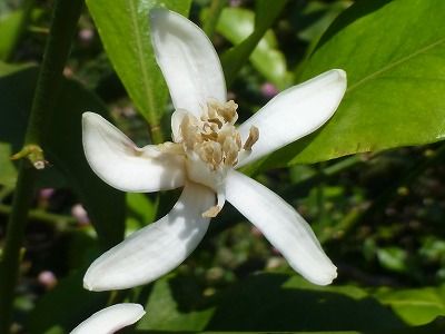 P1070596