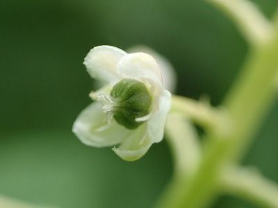 P6130111