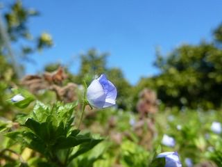 P1120667