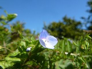 P1120671