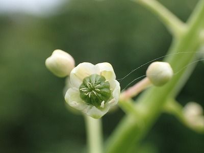 P6130120