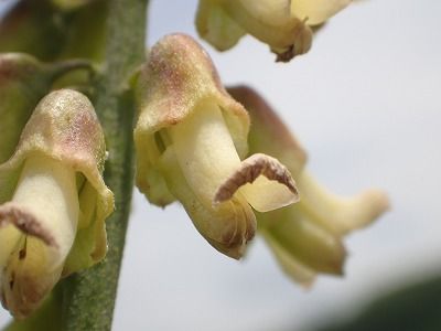 P5210126