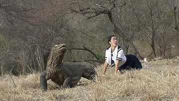 キリマンジャロの豹 Panda S Tidbits キリマンジャロの豹 Panda S Tidbits