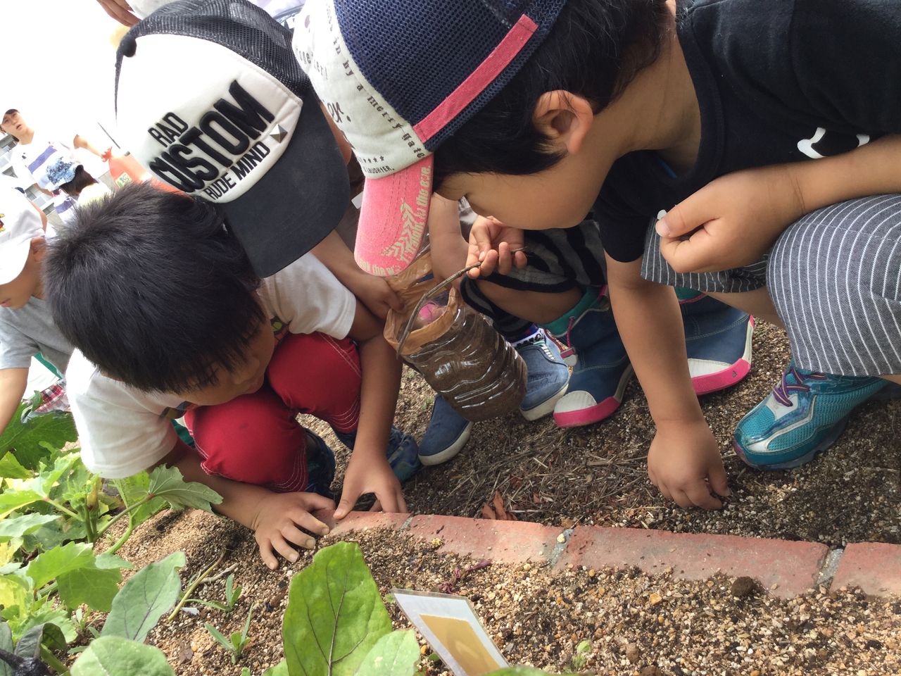 夢の森 アリのふしぎ 社会福祉法人みかり会のブログ 夢の森 アリのふしぎ 社会福祉法人みかり会のブログ