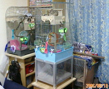 新品】HOEI リスくんのマンション