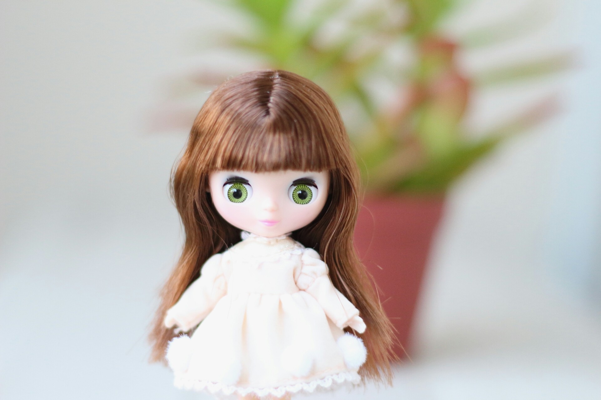 プチブライス ベルベットメヌエット 美品 - 人形