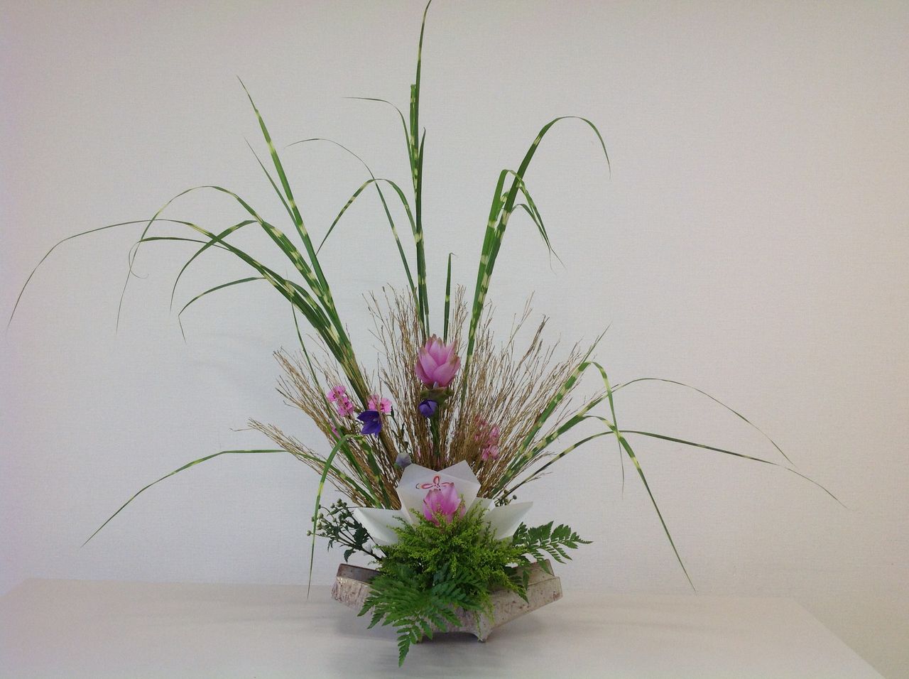 七夕花扇 牽牛 織姫への手向けの花 華道家 辻井ミカ