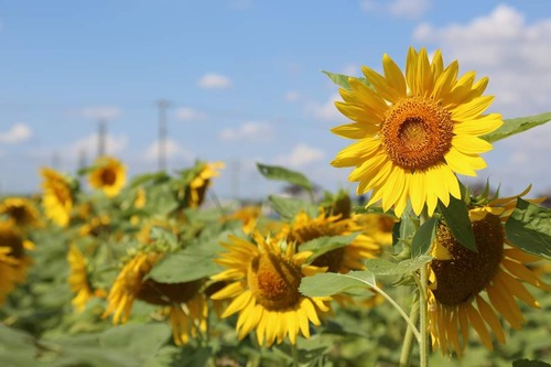 FB_IMG_1601541105285