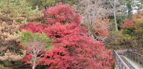 20201108_141312