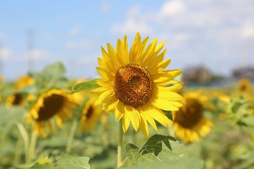 FB_IMG_1601541093967