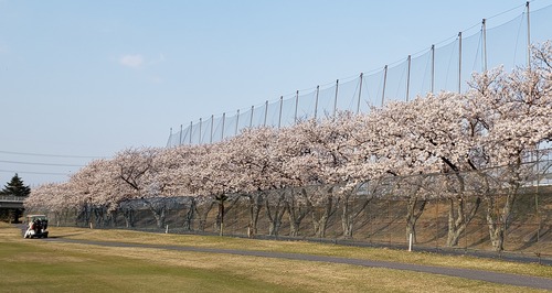 20200404_180309