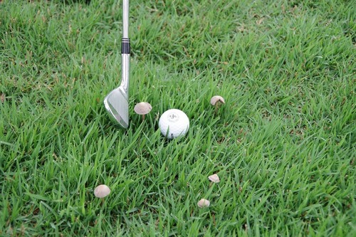 81969423_2661873367390024_8600893085091627008_o