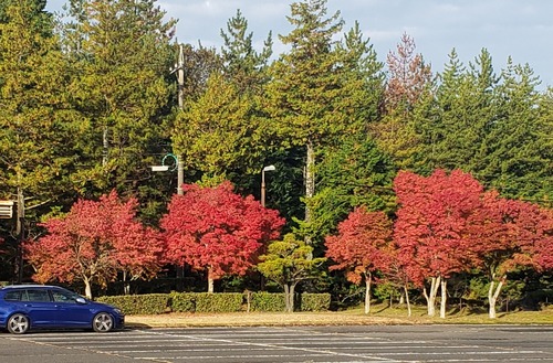 20201108_112910