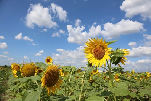 FB_IMG_1601541109645