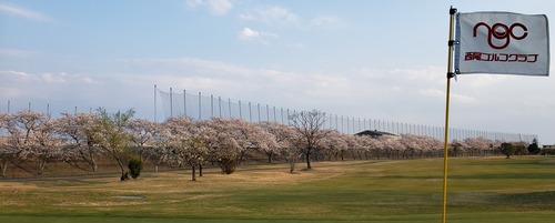 20200404_175034