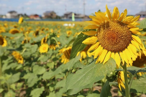 FB_IMG_1601541119740