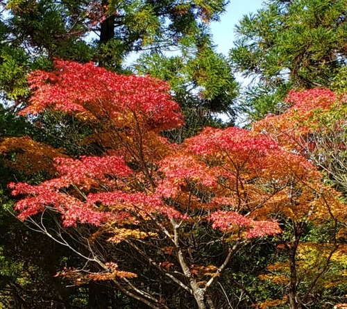 20201101_124918