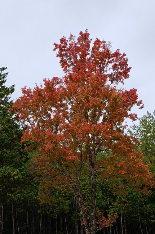 20201101_124859