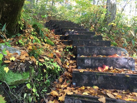 写真 2014-10-18 8 06 46