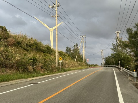 写真 2023-11-25 16 37 57