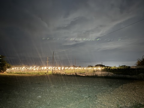 写真 2023-11-27 2 16 05