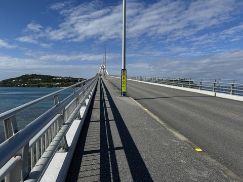 写真 2023-11-26 10 44 14