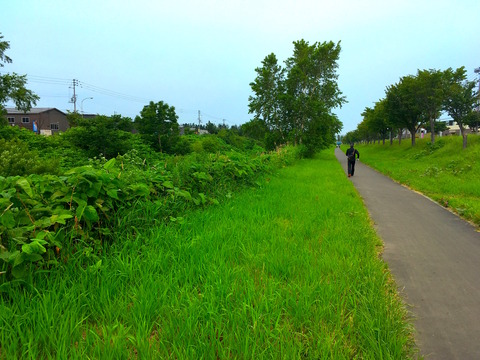 写真 2016-07-02 6 14 50