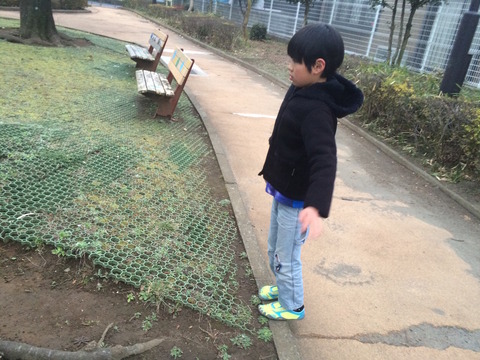 写真 2016-02-22 6 41 28