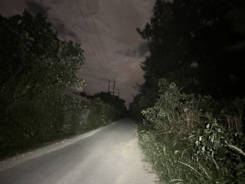 写真 2023-11-24 20 36 25