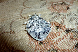P1020527