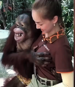 画像 野生動物突如現れる 毎日動物速報 画像 野生動物突如現れる 毎日動物速報