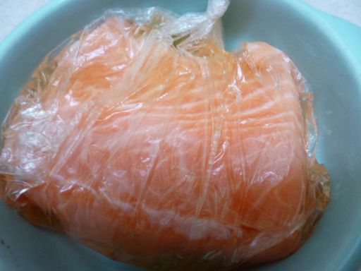 実験 しめサーモン 美と食欲の狭間で
