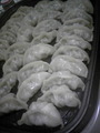 ホットプレート餃子パート2