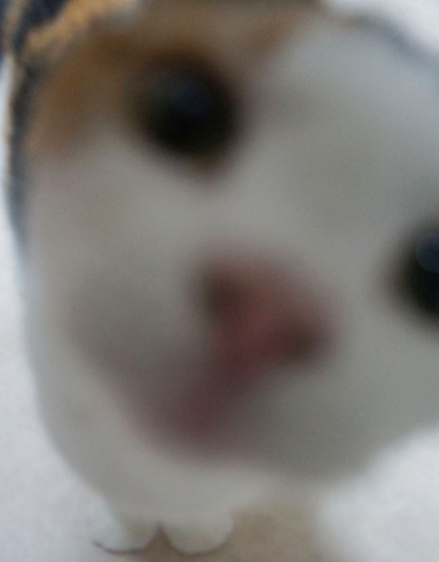 心霊写真2S