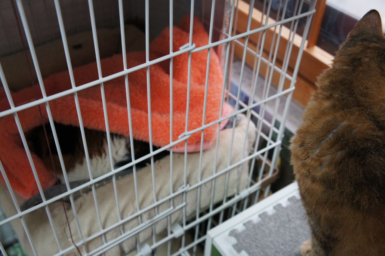 小春日和 変わりありません