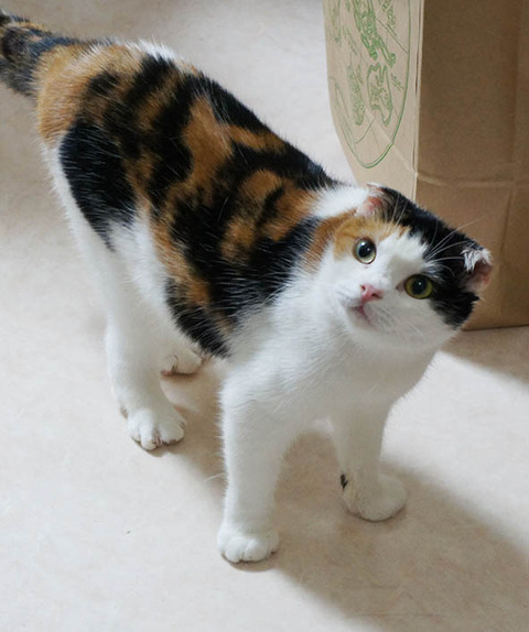もういかなくていい?